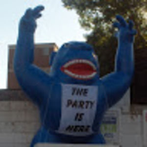 Meet your Posher, Sam